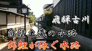 飛騨古川、白壁土蔵と錦鯉の泳ぐ水路   古い町並み