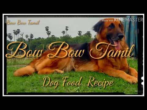 dog-food-recipes-tamil