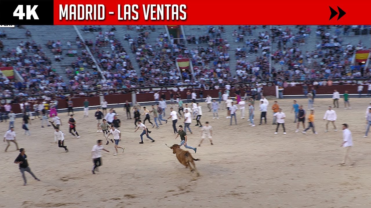 4K ▪ MADRID ▪ LAS VENTAS ▶ Capea