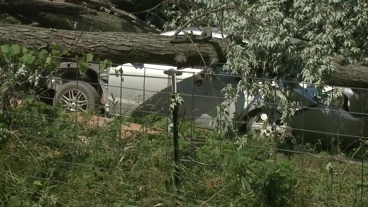Severe Storm Damage in Southwest Michigan - YouTube