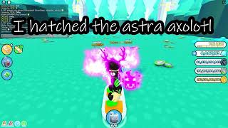 I Hatched The Astral Axolotl