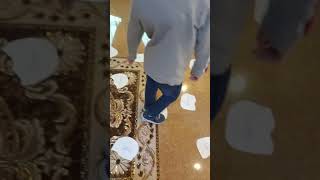 Sight words puddle jumping