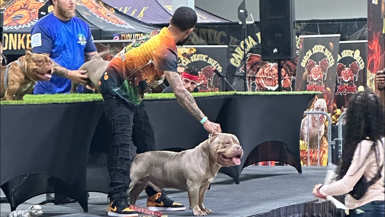 Best stack off i ever seen @ Chevy’s and Bullies 3.0 in Miami 🔥🔥