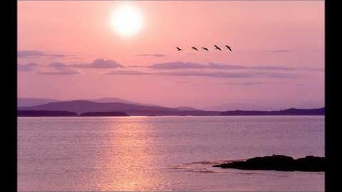 Vivaldi I Allegro Concerto for Oboe, Strings & Basso continuo in D minor, RV 454 Leonard Bernstein