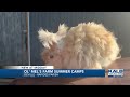 Summer fun at Ol' Mel's Farm!