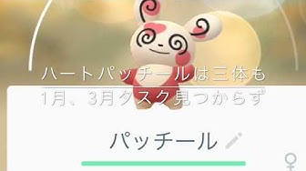 パッチール Youtube