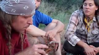 Tapping the Potential of Nature and Simplicity