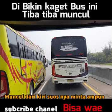 stj dan vega Di bikin kaget Bus luragung putri Borneo gila power nya suoss banget