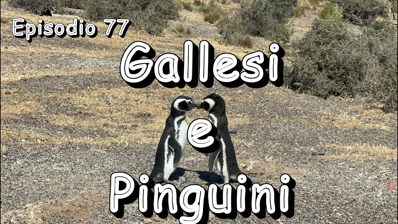 Episodio 77 - STRADE STERRATE e PAESAGGI UNICI!