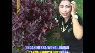 Prapatan Plered - Arin Armada ( Arin DA3 Indosiar )