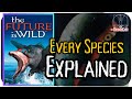 The future is wild species explained for 30 minutes  flish carakiller sharkopath megasquid