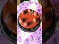 So Yummy Chocolate Cake Decorating 😍 Best Satisfying Cake Decorating #shorts