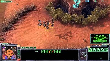 Muta Harass Fail - Starcraft 2