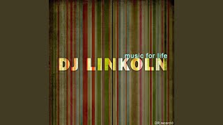 The Love The Way You Lie (Remix)