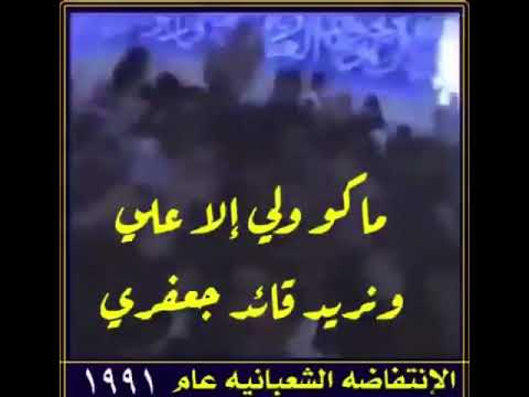 الانتفاضة الشعبانيه ١٩٩١ في جنوب العراق