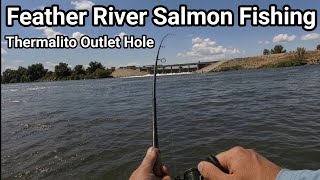 Feather River Salmon Fishing Action
