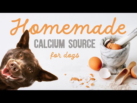 DIY Eggshell Powder for Dogs