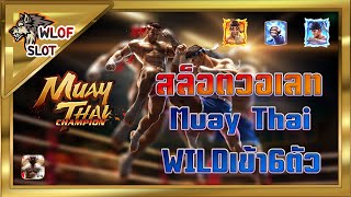 สล็อตวอเลท - Muay Thai WILDเข้า6ตัว