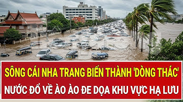 Báo động: Sông Cái Nha Trang biến thành 