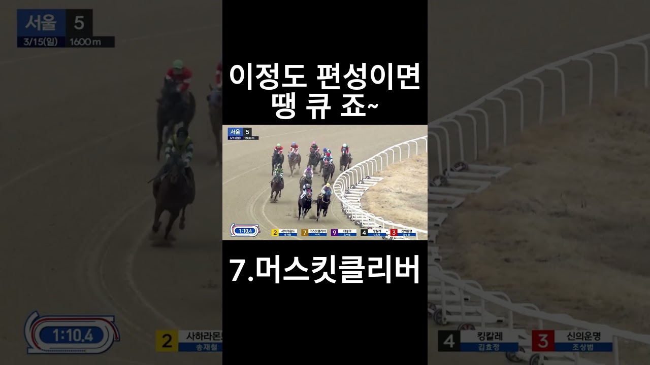 이정도 편성이면 땡큐죠~   #경마  #경마예상  #경마방송  #경마예상방송  #서울경마  #금요경마  #토요경마  #일요경마 #경마장