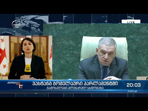 შს მინისტრის შემაჯამებელი სიტყვა და დეპუტატების კითხვები