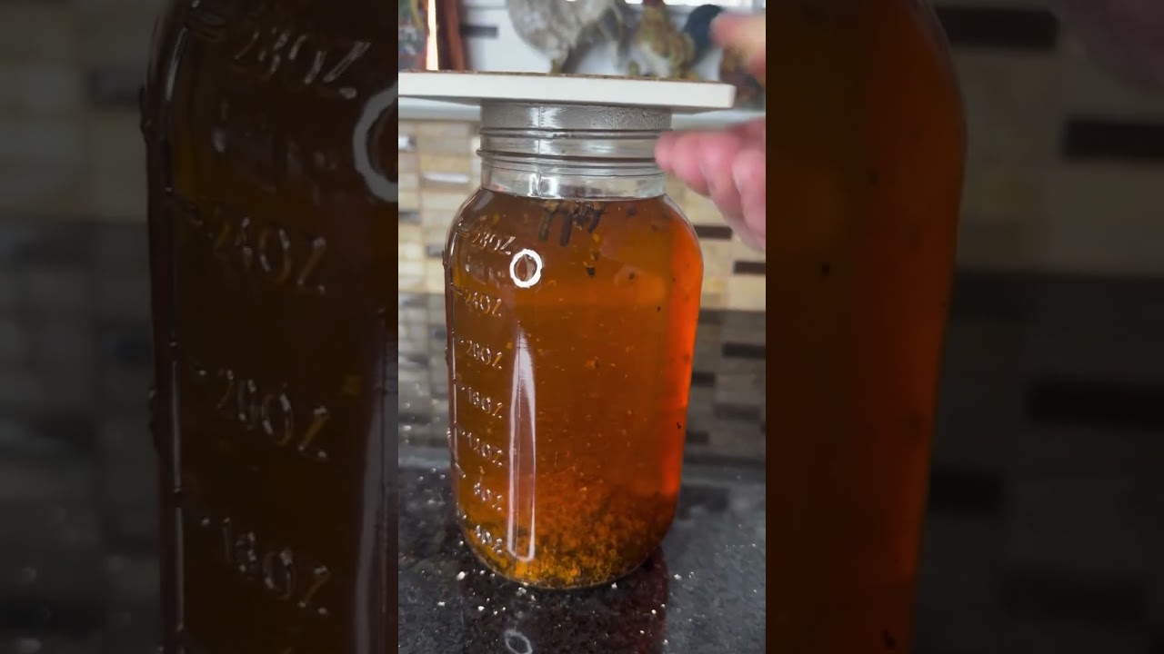 The Secret Power of Dried Cloves for Chickens! 🐔 Boost Immunity & Fight Parasites Naturally!”