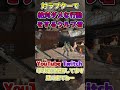 ラプター相手に絶対ダメな立ち回りをしてしまうダイアウルフ君【Delta Force/デルタフォース/Δオペレーションズ】#shorts