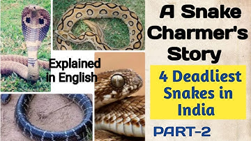 NCERT Class 5 EVS Chapter-2 (Part-2) A Snake Charmer