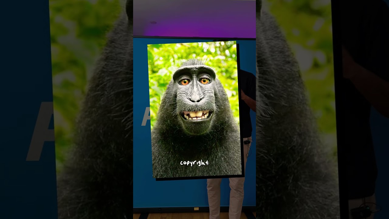 This Monkey Caused a TON of Controversy.