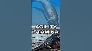 Yes. #1v1 #dinosaur #whale