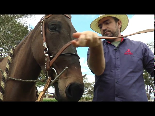 Freio 4 Jogos Perna de Alumínio Gota para Cavalos