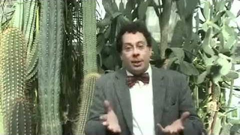 Perfect imaging without negative refraction