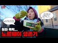 이 타이밍 맞아? 원화가치 폭락 속에 미친 물가 노르웨이로 가버린 환장의 여행기 ::: 노르웨이(1)