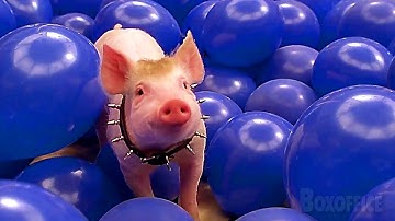 風船がいっぱい | ベイブ 都会へ行く | 映画シーン