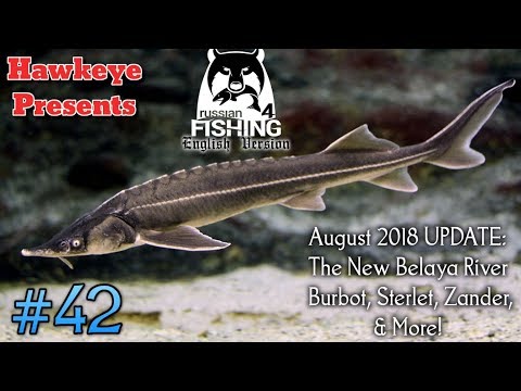 Russian Fishing 4
