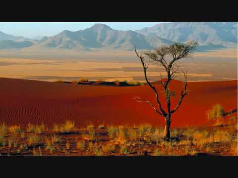 الشيخ العثيمين حول قصة الحمامة و العنكبوت على باب غار ثور