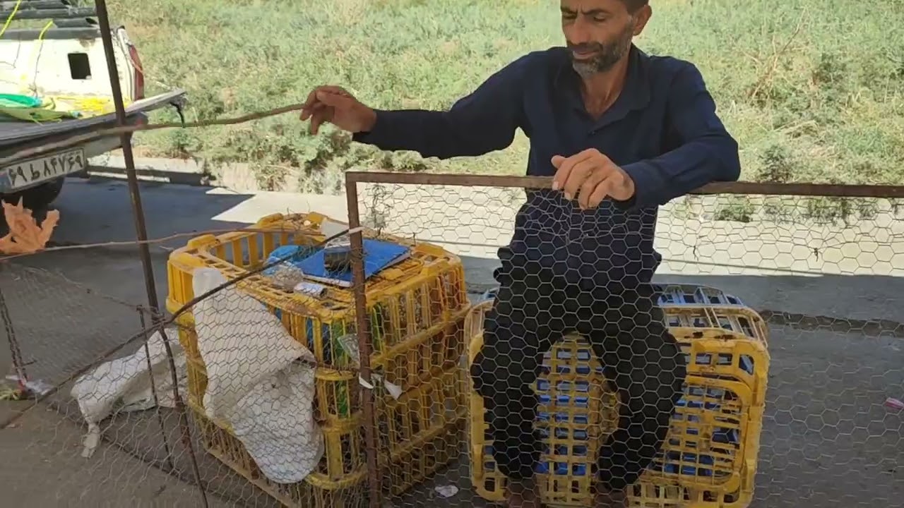 بازار پرندگان(کبوتر.قناری.بوقلمون غاز.اردک) در جمعه بازار گنبد کاووس