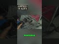 ¡Atrápalo! Contrabandista con Zoológico Ilegal en Maleta #shorts