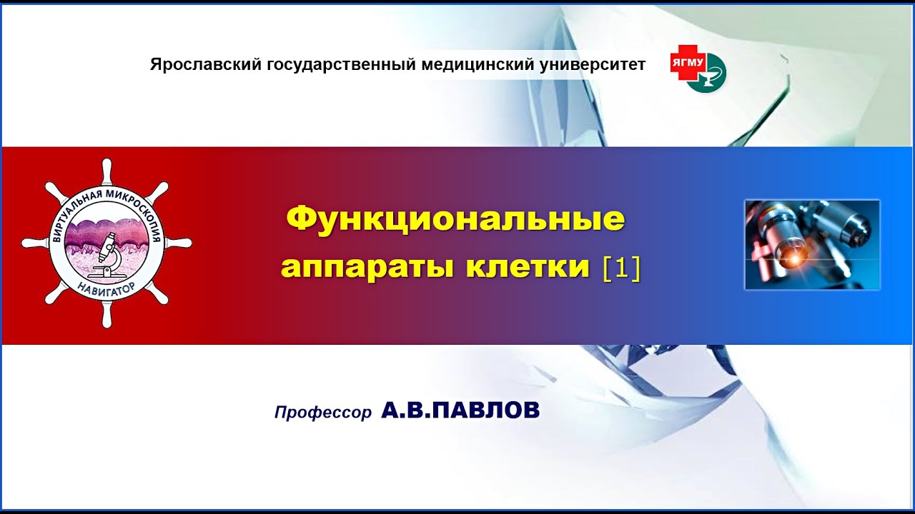 Биология тканей - лекция №2 (часть 1). Функциональные аппараты клетки