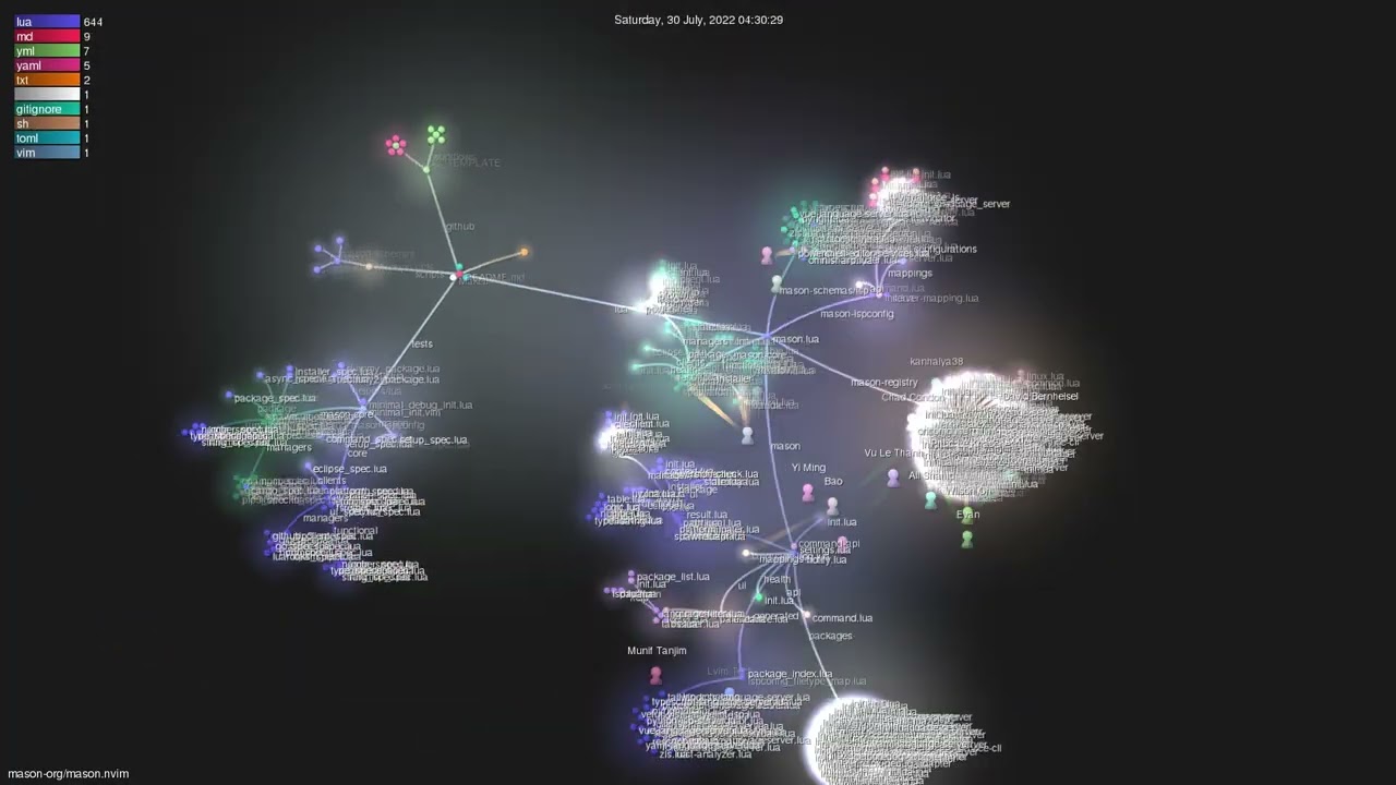 mason-org/mason.nvim - Gource visualisation