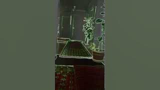 Aryana sayeed's song dilam tang ast