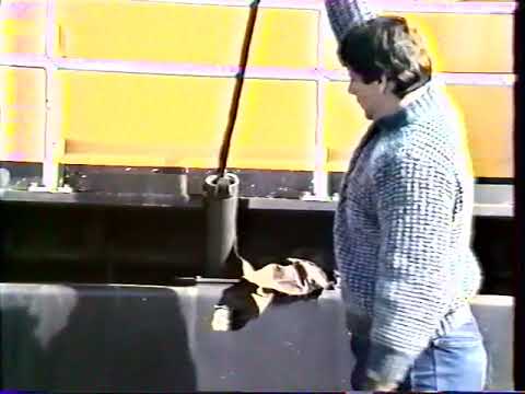 VHS SNCF: L'entretien Journalier