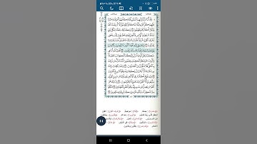 سورة الأنعام آية(١١٣)