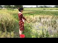 Hook Fishing Video | Beautiful Girl Fishing with Hook | Catching Big Catfish By Hook (Part-303)