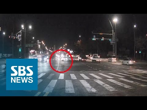 <strong>교차로서</strong> 멧돼지 세 마리 잇따라 차에 치여…사체 모두 수거 / SBS