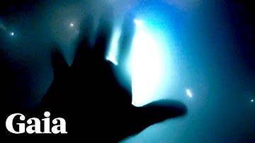 Dr. Steven Greer Shares A PERSONAL Story of ET Contact