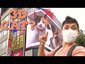 How the Giant 3D Cat Display Billboard Looks From Different Angles | Shinjuku Streetview