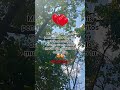 Yo te amo