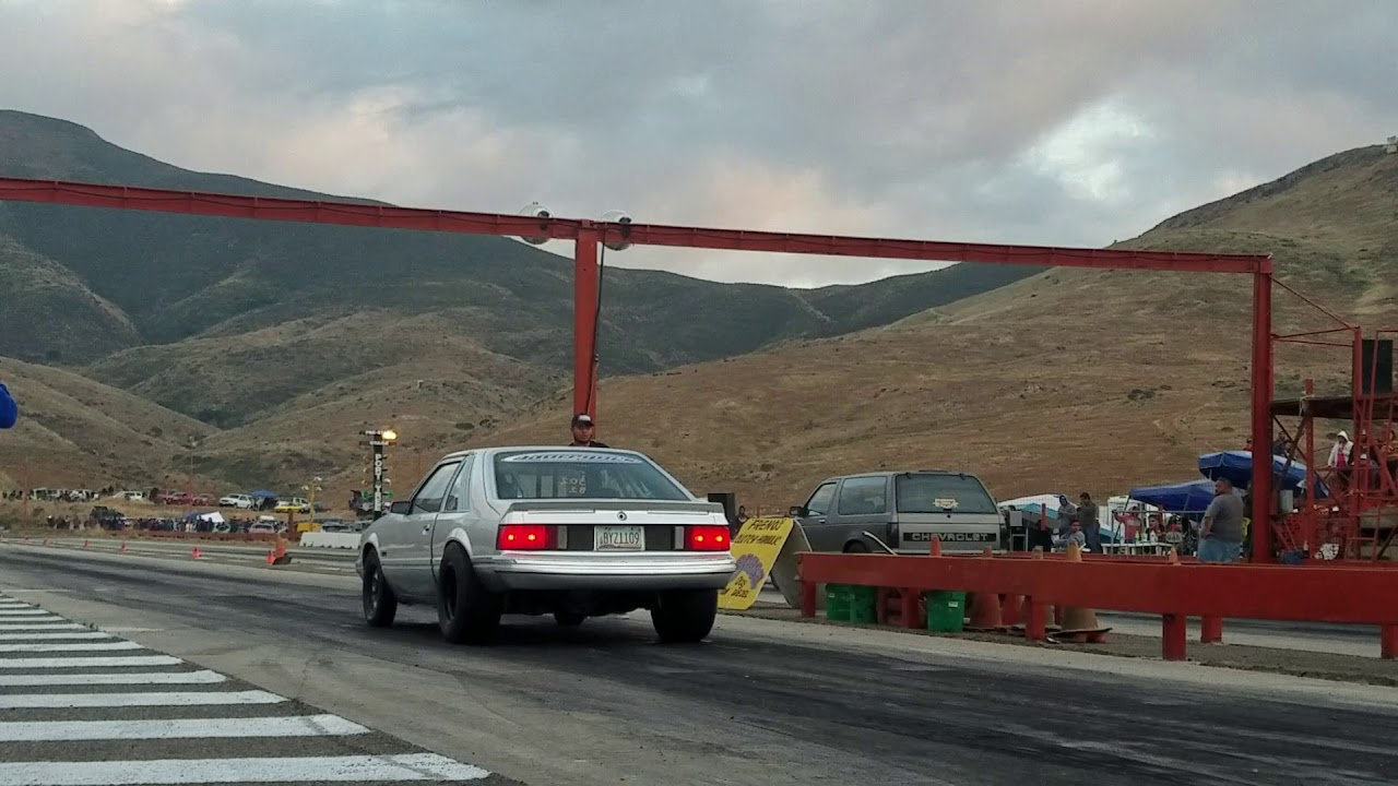 302 IRON HEADS CARPISTA TIJUANA