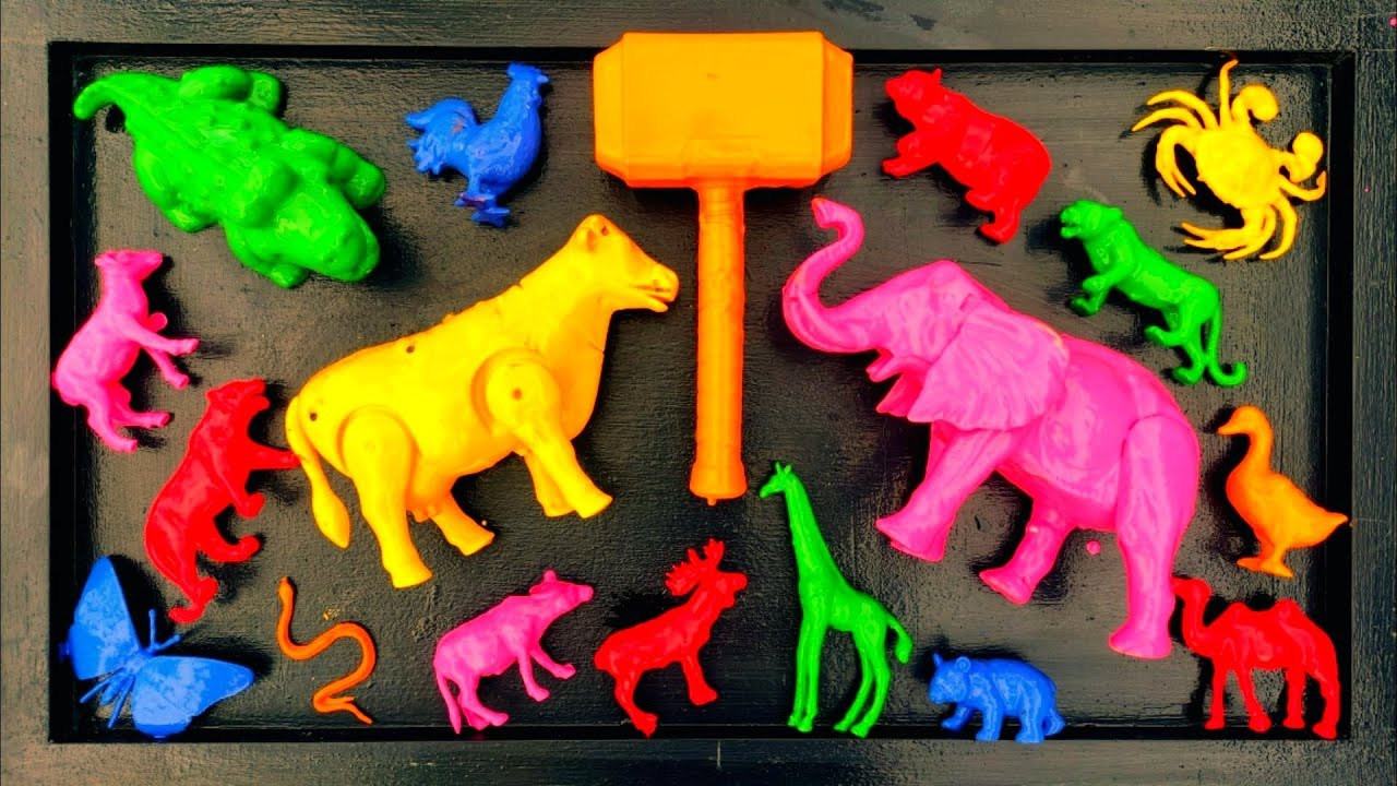 Membersihkan hewan sapi, bebek, angsa, ayam, gajah, simpanse, singa, unta, buaya, kangguru